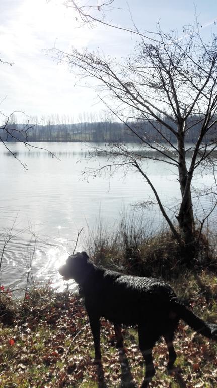 Gite Au Lac Du Gouyre Puygaillard-de-Quercy Exterior foto